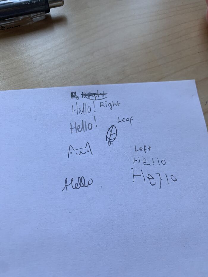 The Thinner Writing Is Written By A Mechanical Pencil And The Thicker Is By A Normal Pencil