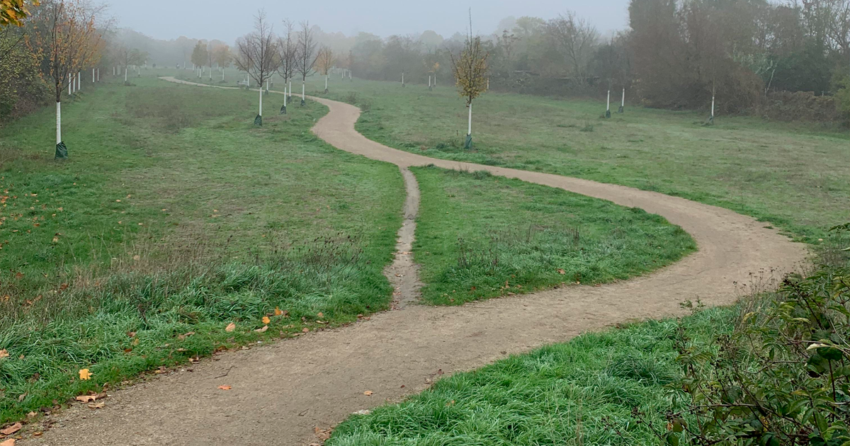 25 «Caminos del deseo» creados para la conveniencia de la gente en lugar de las rutas designadas