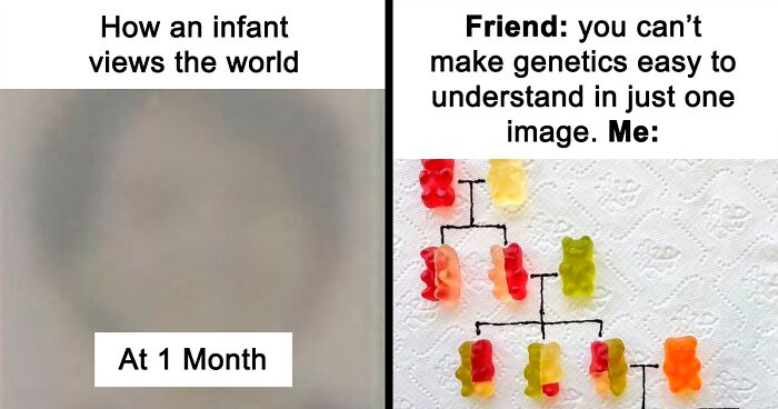 30 Cool And Interesting Guides That Teach You More In Images Than Any Parenting Book Can