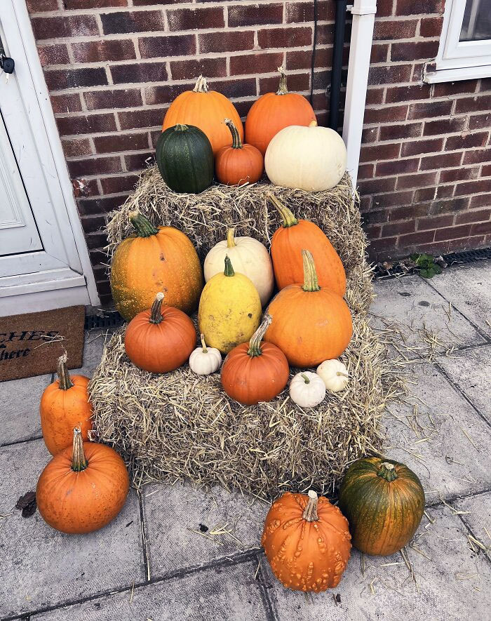 I’m In The UK, And My Pumpkins Were Stolen 10 Hours After I Put This Display Together