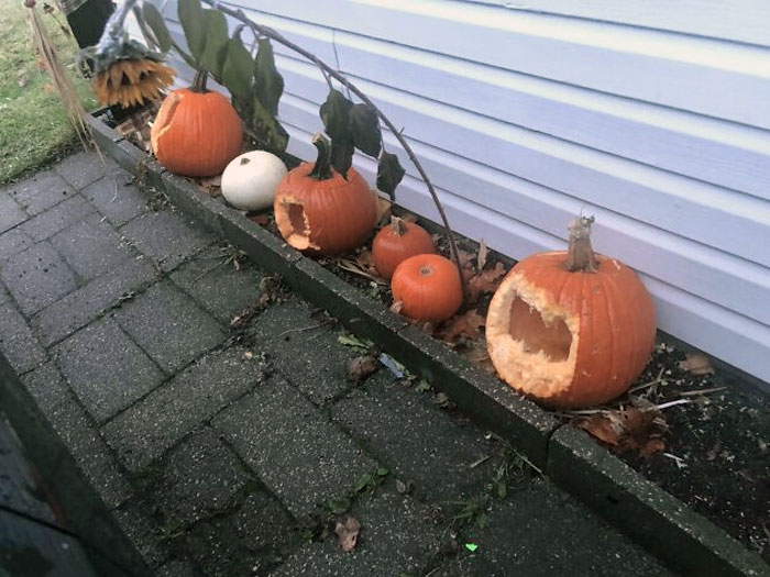 Something Ate The Faces Of My Kids' Pumpkins