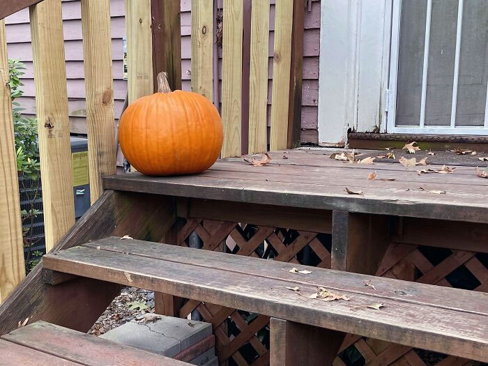 To Whoever Stole Our Pumpkin Yesterday. I Hope You’re Enjoying It And Have A Happy Halloween