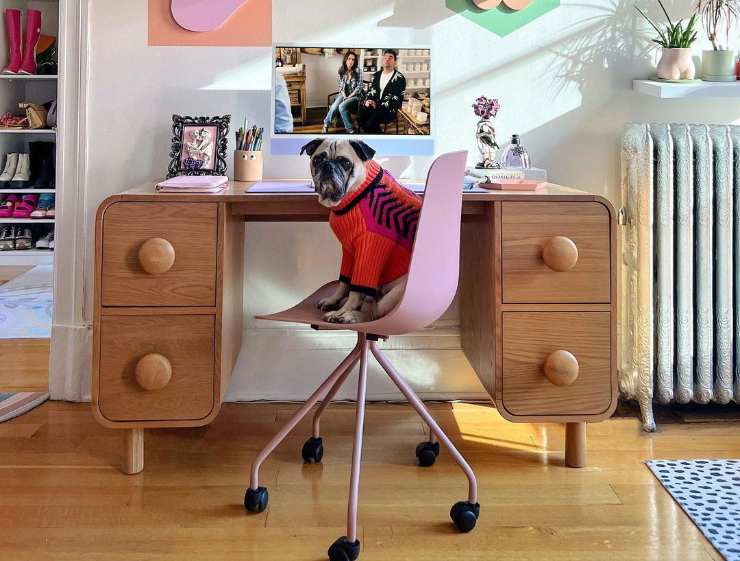 kid room design with wooden desk and dog sitting on chair