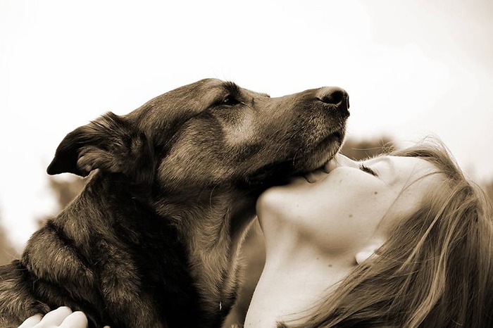 a lady is kissing a dog