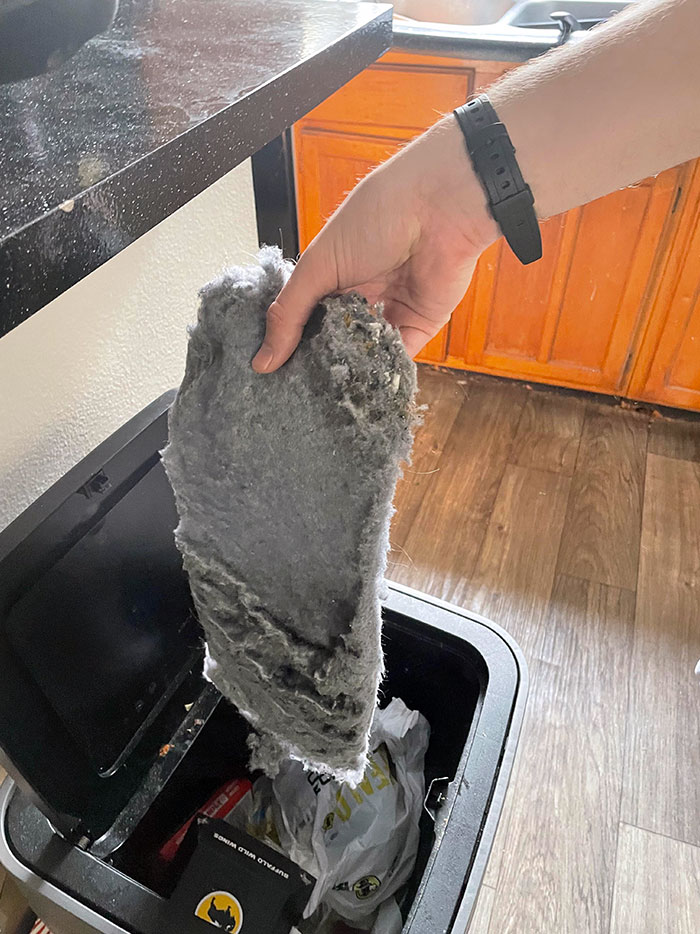 Completely Forgot About The Lint Trap In Our Dryer And Wondered Why Our Clothes Were Taking 3 Cycles To Dry