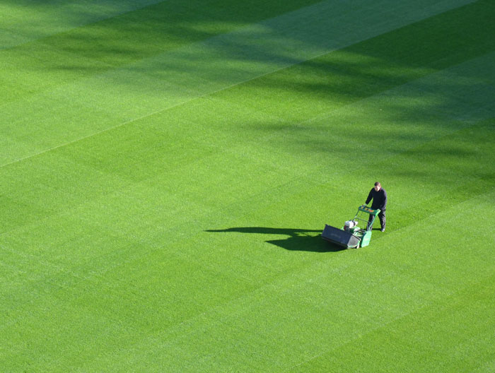A person trimming field 
