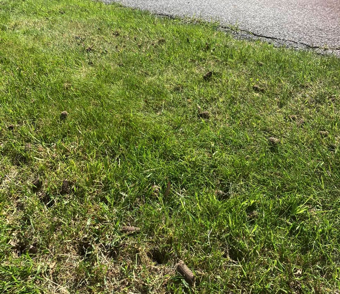 A core aeration A core aeration