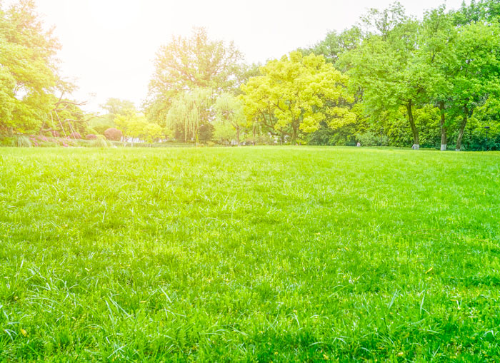 Green park view Green park view