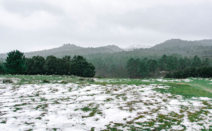A grass field with a snow on it A grass field with a snow on it