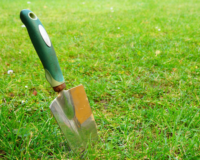 A hand trowel on the green grass