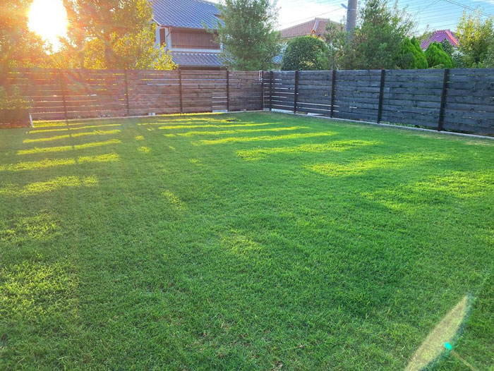 Green lawn and sunrise