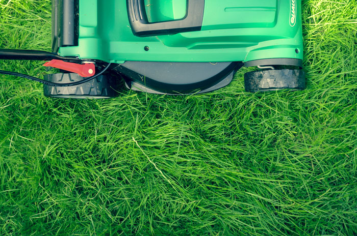 Green and black lawnmover on grass