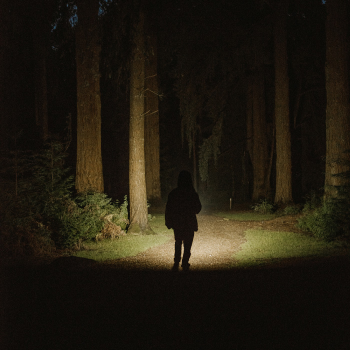 A person standing in the middle of the woods with torch 