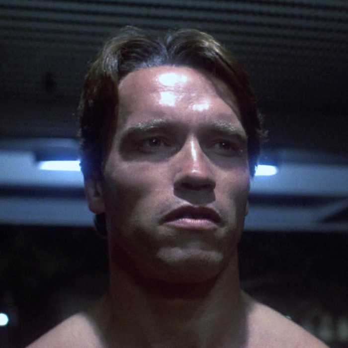 Arnold Schwarzenegger as a Terminator 