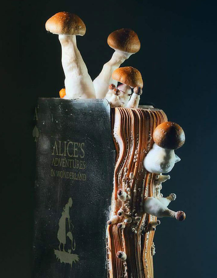 Water Damaged Copy Of “Alice's Adventures In Wonderland” Which Grew Fungi.⁠ ⁠ (Photo By Igor Siwanowicz)