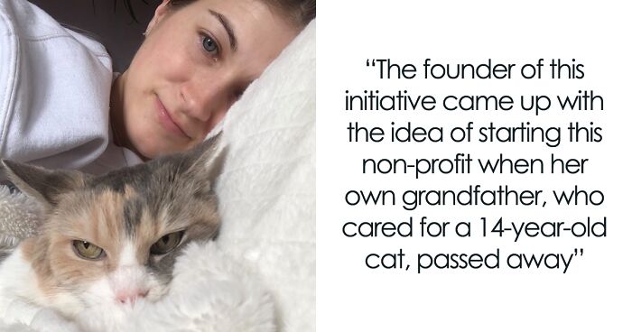 Angela Rafuse Is A Founder Of ‘My Grandfather’s Cat Charity’, Helping ...