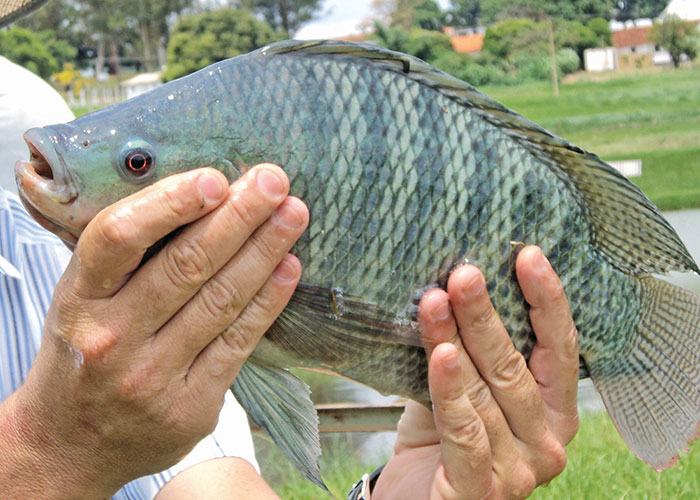 “My Parents Don’t Like Me”: 35 People Share The Most Hilariously Unfortunate Names They’ve Heard