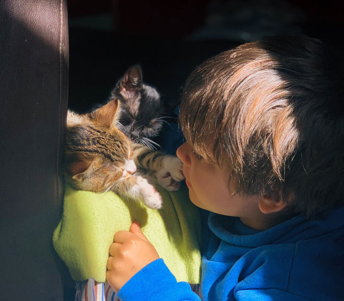 Woman Is Disappointed Friend Won’t Get Rid Of Her Cats Now That She’s Pregnant To Protect Her Baby Woman Is Disappointed Friend Won’t Get Rid Of Her Cats Now That She’s Pregnant To Protect Her Baby