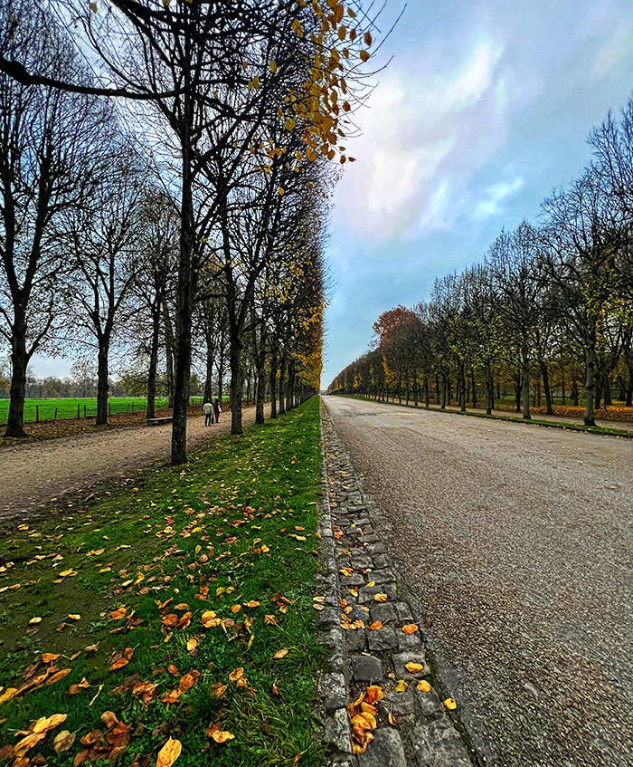 This Photo I Took In Versailles That's Not Two Photos Spliced Together