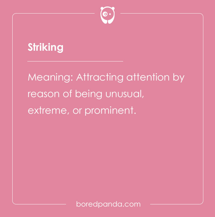 178 One-Word Compliments That Are Just Spot-On