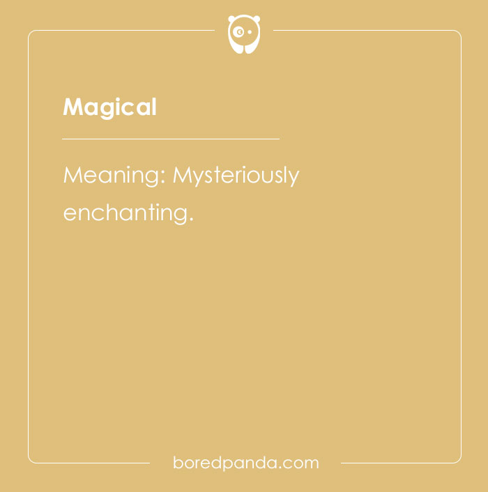 178 One-Word Compliments That Are Just Spot-On