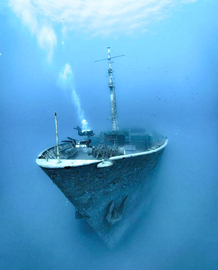 The Elpida Wreck In Cyprus Is One Of Many Great Wrecks Along With The Famous Zenobia Wreck