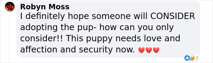 Lisa Kudrow “Wants To Adopt Matthew Perry's Dog” As She Shares Sad Theory Behind His Death Lisa Kudrow “Wants To Adopt Matthew Perry's Dog” As She Shares Sad Theory Behind His Death