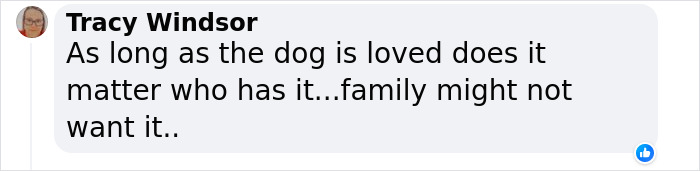 Lisa Kudrow “Wants To Adopt Matthew Perry's Dog” As She Shares Sad Theory Behind His Death Lisa Kudrow “Wants To Adopt Matthew Perry's Dog” As She Shares Sad Theory Behind His Death