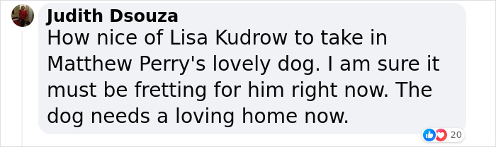 Lisa Kudrow “Wants To Adopt Matthew Perry's Dog” As She Shares Sad Theory Behind His Death