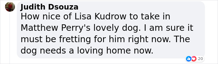 Lisa Kudrow “Wants To Adopt Matthew Perry's Dog” As She Shares Sad Theory Behind His Death Lisa Kudrow “Wants To Adopt Matthew Perry's Dog” As She Shares Sad Theory Behind His Death