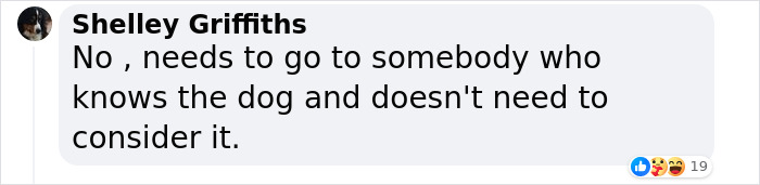 Lisa Kudrow “Wants To Adopt Matthew Perry's Dog” As She Shares Sad Theory Behind His Death Lisa Kudrow “Wants To Adopt Matthew Perry's Dog” As She Shares Sad Theory Behind His Death