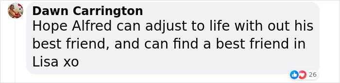 Lisa Kudrow “Wants To Adopt Matthew Perry's Dog” As She Shares Sad Theory Behind His Death Lisa Kudrow “Wants To Adopt Matthew Perry's Dog” As She Shares Sad Theory Behind His Death