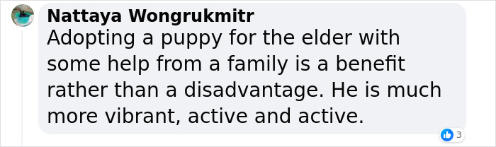 Granddaughter Gives Her 96 Y.O. Grandpa A Puppy, Sees His Remarkable Transformation Granddaughter Gives Her 96 Y.O. Grandpa A Puppy, Sees His Remarkable Transformation
