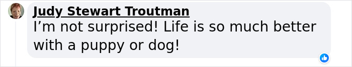 Granddaughter Gives Her 96 Y.O. Grandpa A Puppy, Sees His Remarkable Transformation Granddaughter Gives Her 96 Y.O. Grandpa A Puppy, Sees His Remarkable Transformation