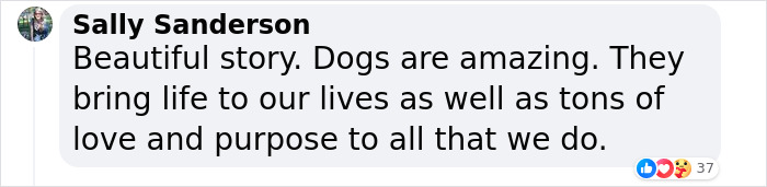 Granddaughter Gives Her 96 Y.O. Grandpa A Puppy, Sees His Remarkable Transformation Granddaughter Gives Her 96 Y.O. Grandpa A Puppy, Sees His Remarkable Transformation