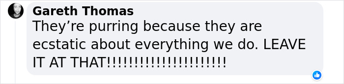 "A Great Surprise": Scientists Stunned After Discovering How Cats Purr "A Great Surprise": Scientists Stunned After Discovering How Cats Purr