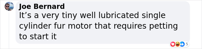 "A Great Surprise": Scientists Stunned After Discovering How Cats Purr "A Great Surprise": Scientists Stunned After Discovering How Cats Purr