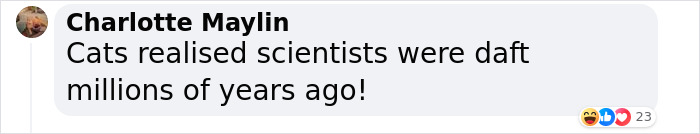 "A Great Surprise": Scientists Stunned After Discovering How Cats Purr "A Great Surprise": Scientists Stunned After Discovering How Cats Purr