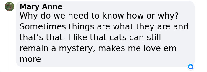 "A Great Surprise": Scientists Stunned After Discovering How Cats Purr "A Great Surprise": Scientists Stunned After Discovering How Cats Purr