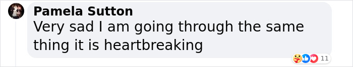 'Die Hard' Star Bruce Willis “Lost His Language Skills And Joie De Vivre” Amid His Battle With Dementia