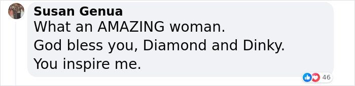 82 Y.O. Hiker Just Returned From Epic 600-Mile Horseback Journey With Her 10 Y.O. Dog In Tow 82 Y.O. Hiker Just Returned From Epic 600-Mile Horseback Journey With Her 10 Y.O. Dog In Tow