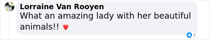 82 Y.O. Hiker Just Returned From Epic 600-Mile Horseback Journey With Her 10 Y.O. Dog In Tow 82 Y.O. Hiker Just Returned From Epic 600-Mile Horseback Journey With Her 10 Y.O. Dog In Tow