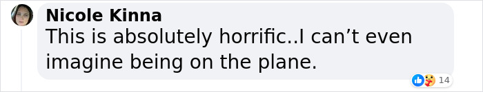 Pilot Faces Charges For Attempted Murder After "Mental Breakdown" Led To Near Disaster Mid-Flight Pilot Faces Charges For Attempted Murder After "Mental Breakdown" Led To Near Disaster Mid-Flight