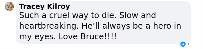'Die Hard' Star Bruce Willis “Lost His Language Skills And Joie De Vivre” Amid His Battle With Dementia
