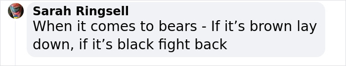 7-Year-Old Boy Goes Face-To-Face With A Bear, Gets Saved By A Brave Neighbor 7-Year-Old Boy Goes Face-To-Face With A Bear, Gets Saved By A Brave Neighbor
