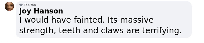7-Year-Old Boy Goes Face-To-Face With A Bear, Gets Saved By A Brave Neighbor 7-Year-Old Boy Goes Face-To-Face With A Bear, Gets Saved By A Brave Neighbor