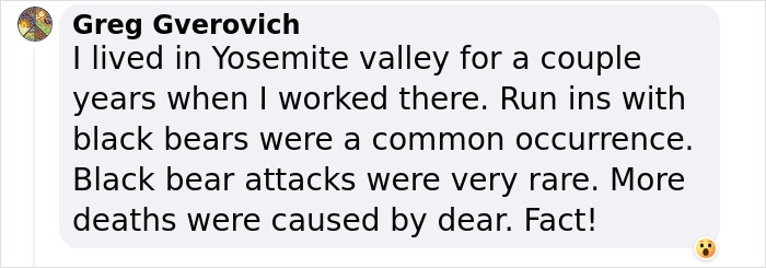 7-Year-Old Boy Goes Face-To-Face With A Bear, Gets Saved By A Brave Neighbor 7-Year-Old Boy Goes Face-To-Face With A Bear, Gets Saved By A Brave Neighbor