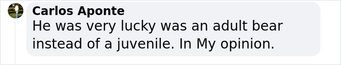 7-Year-Old Boy Goes Face-To-Face With A Bear, Gets Saved By A Brave Neighbor 7-Year-Old Boy Goes Face-To-Face With A Bear, Gets Saved By A Brave Neighbor
