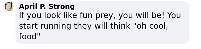 7-Year-Old Boy Goes Face-To-Face With A Bear, Gets Saved By A Brave Neighbor 7-Year-Old Boy Goes Face-To-Face With A Bear, Gets Saved By A Brave Neighbor
