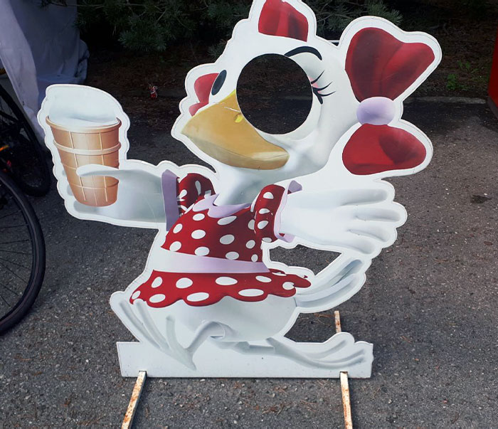This Is One Of Those Cardboard Character Cutouts With A Hole In Them, So That Kids Can Stick Their Heads In It And Be The Character. In This Case, You Can Be The Bird's Eye
